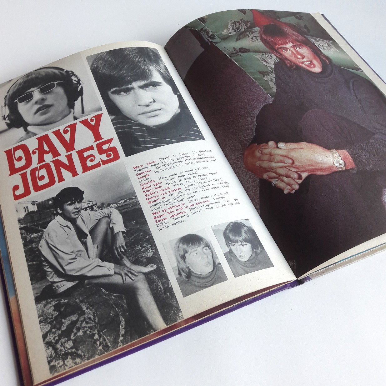 boek The Monkees 1967