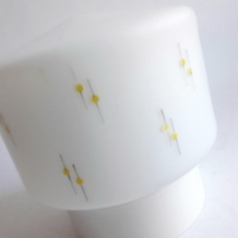 jaren 60 plafondlamp (2204)