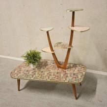 jaren 50/60 plantentafel (2999)