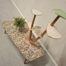 jaren 50/60 plantentafel (2999)