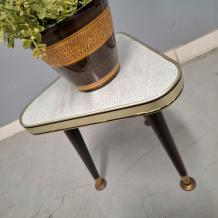 jaren 60 plantentafeltje (3134)