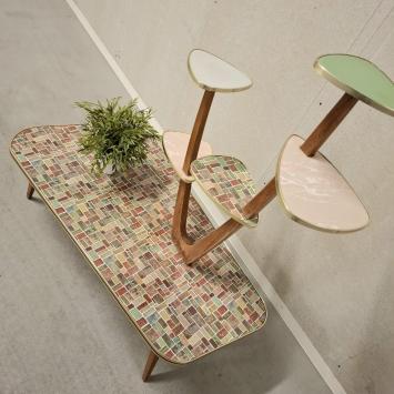 jaren 50/60 plantentafel (2999)