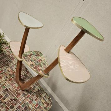 jaren 50/60 plantentafel (2999)