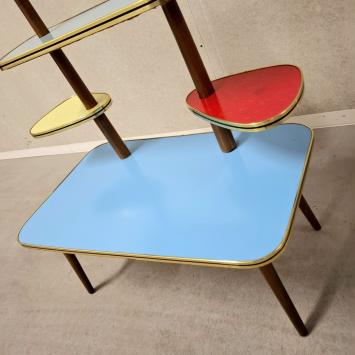 jaren 60 plantentafel (3011)