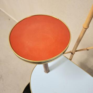 jaren 50/60 plantentafel XL